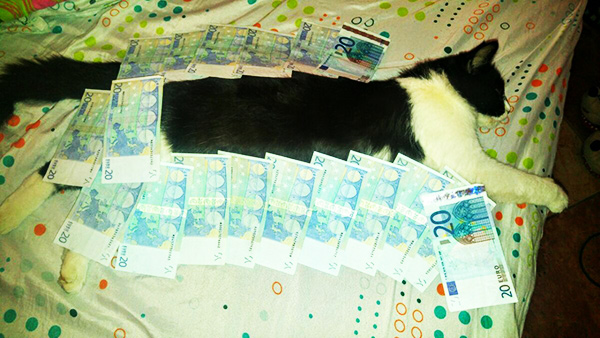 PayDiamond Leaks Fraude